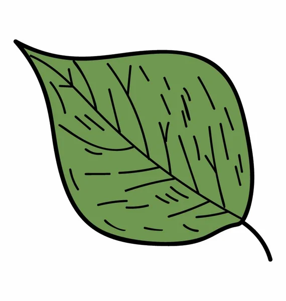 Kavak yaprağı vektörü — Stok Vektör