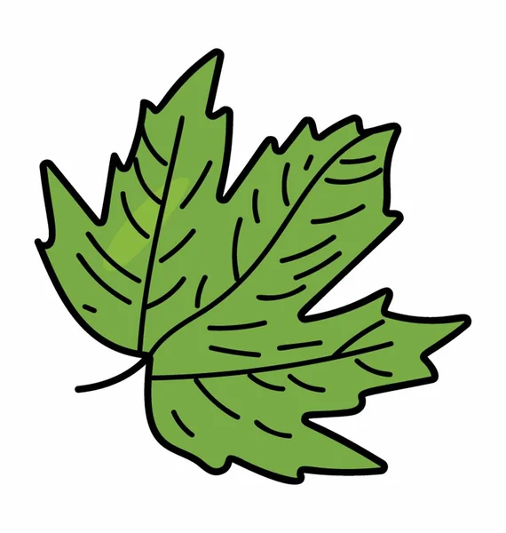 Vettore di foglie d'acero — Vettoriale Stock