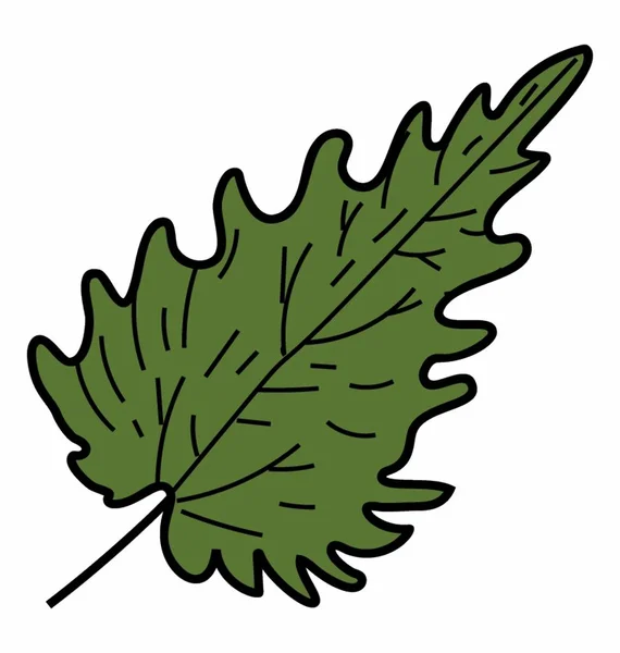 Öko botanikai Leaf — Stock Vector