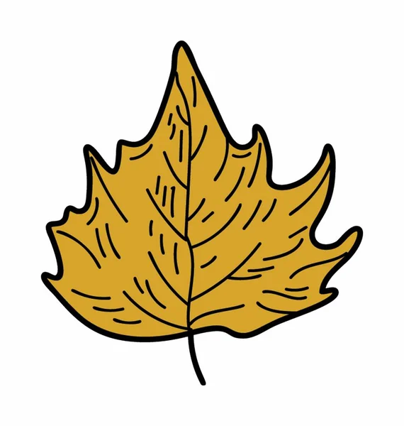 Eco Maple Leaf — Stock Vector