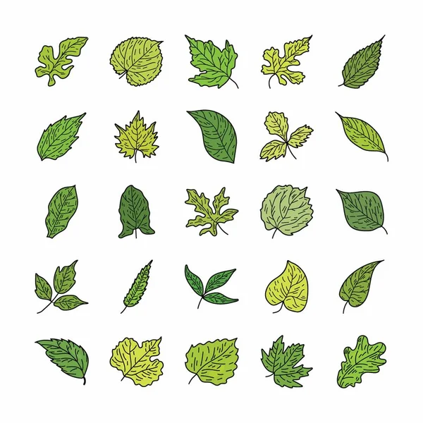 Зеленые листья иконок — стоковый вектор