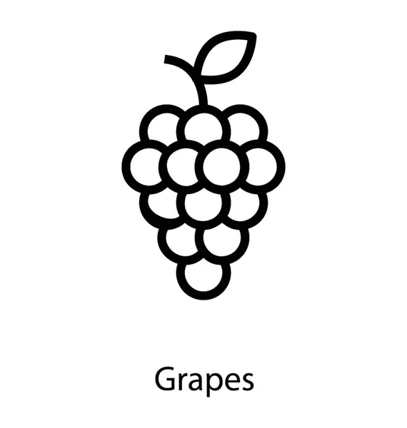 Voedzame druiven vruchten — Stockvector