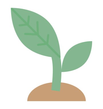 Büyüyen Sprout tesisi