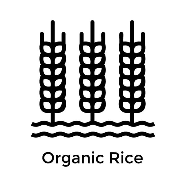 Diseño Línea Icono Arroz Orgánico — Vector de stock