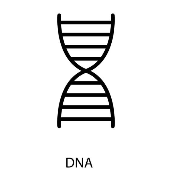 Deoxyribonucleic Acid Line Icon — Stock Vector