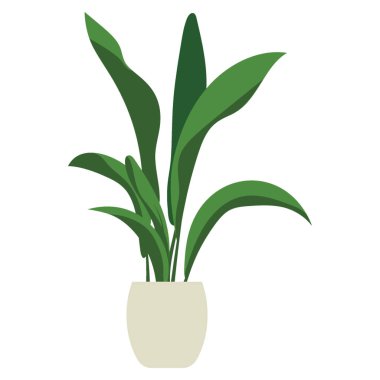 Süs bitkisi düz simgesi 