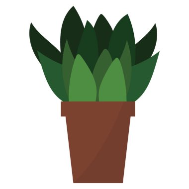 Echeveria Saksı bitki düz simgesi 