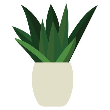 Düz simge houseplant gasteria 