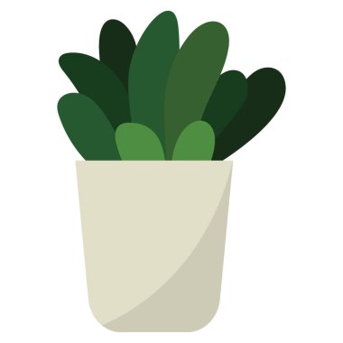Echeveria Saksı bitki düz simgesi 