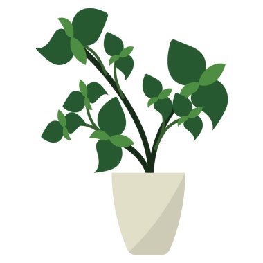 Düz simge kapalı dökmeyen bitki 