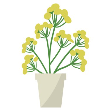 Düz simge mavi tansy bitki 