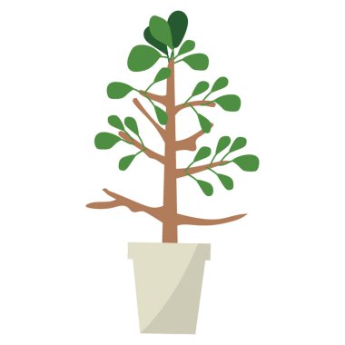 Düz vektörde süs bitkisi 