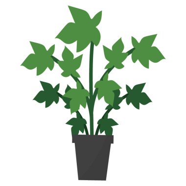 Kapalı dekor bitki goldenseal düz simgesi 