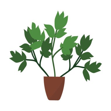 Mavi cohosh kök bitki düz simgesi 