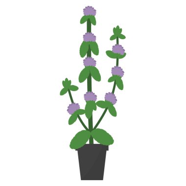 Düz simge houseplant dekor 