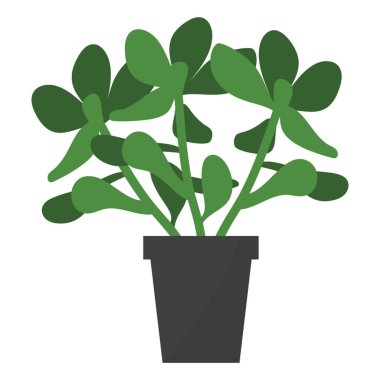 Flat simgesinde Houseplant yeşim 