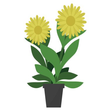 Houseplant dekor arnica düz simgesi 