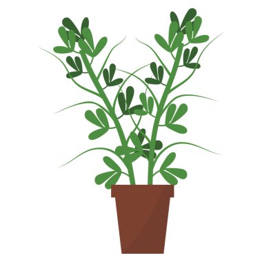 Kapalı dekor bitki düz simgesi 