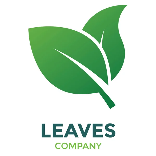 Herbal Leaves Design Flat Vector — Stock Vector