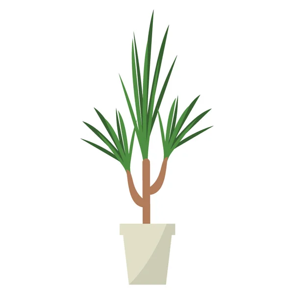 Dracaena Завод Плоской Иконке — стоковый вектор