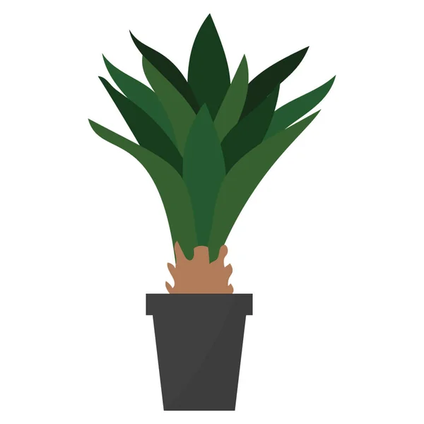 Persistant Agave Plante Icône Plate — Image vectorielle