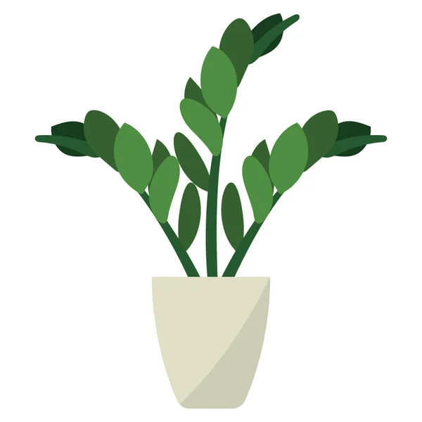 Indoor Plant Flat Vector — Stock Vector