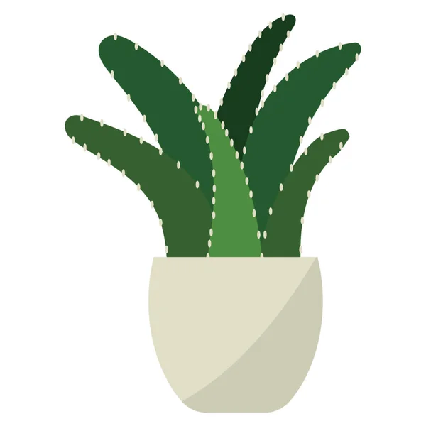 Evergreen Aloe Plante Icône Plate — Image vectorielle