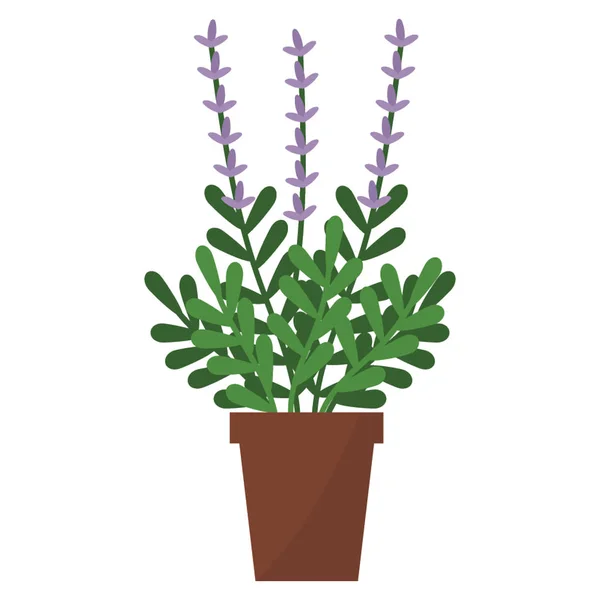 Вечнозеленые Растения Плоском Векторе — стоковый вектор