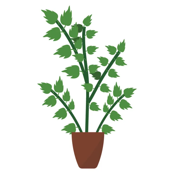 Haus Dekor Oregano Pflanze Flach Symbol — Stockvektor