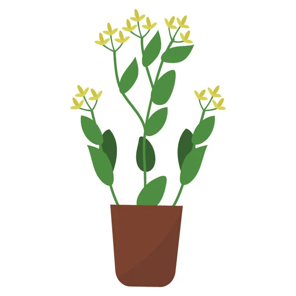 Буплейрум Горшок Растения Плоской Иконке — стоковый вектор
