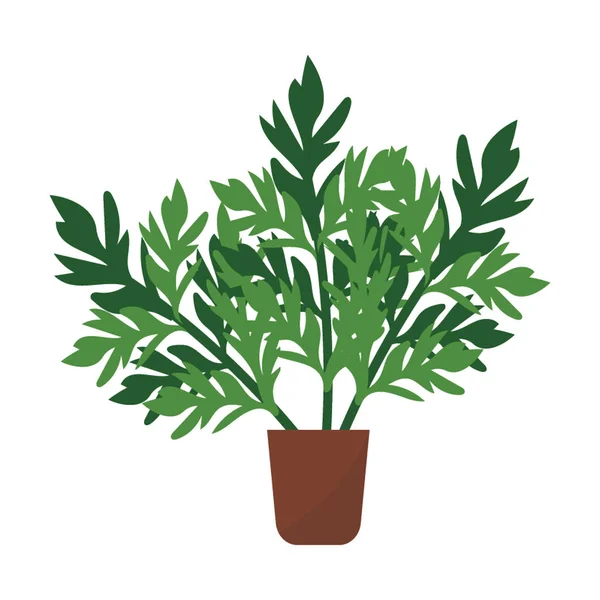 Immergrüne Zimmerpflanze Flach — Stockvektor