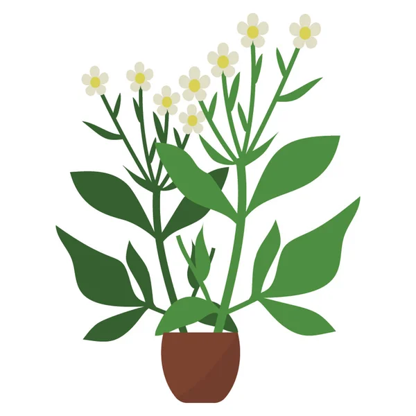 Ornamental Plant Flat Icon — Stock Vector