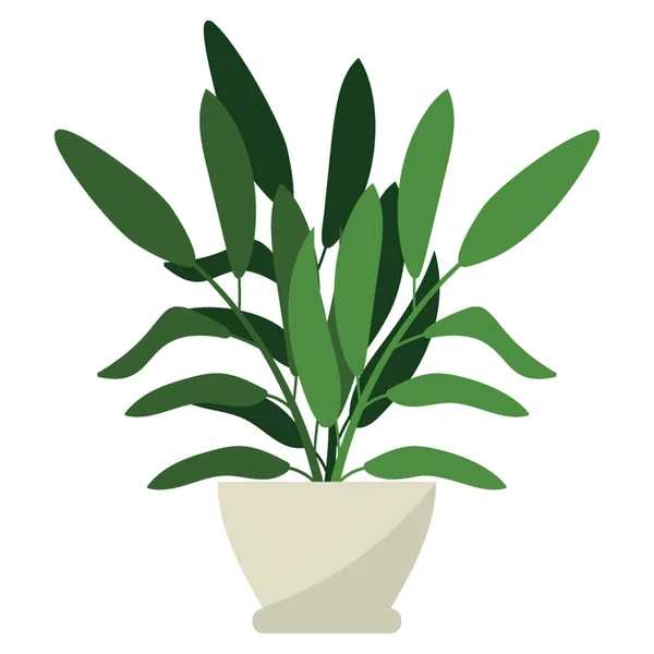 Indoor Potted Plant Flat Vector — Stock Vector