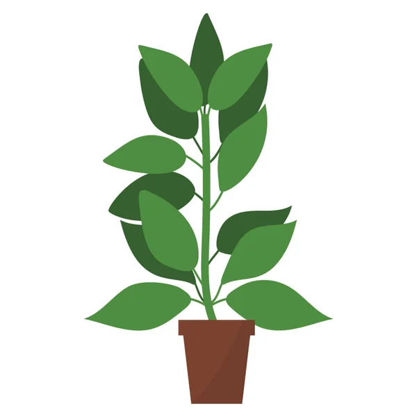 Plochá Ikona Vnitřní Zeleninové Rostlině — Stockový vektor