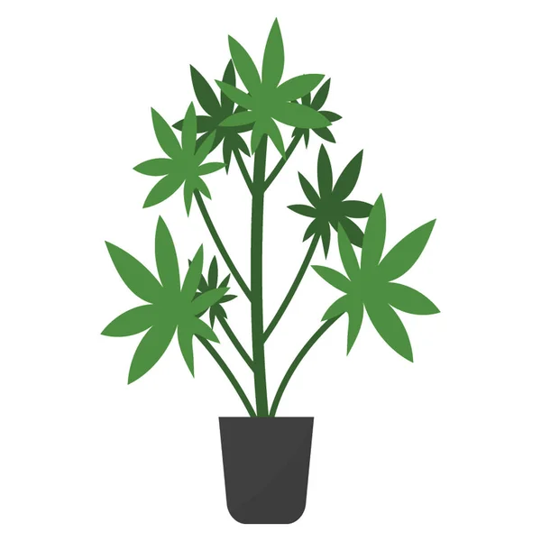 Ikona Płaska Wewnętrzna Roślina Rycynowy — Wektor stockowy