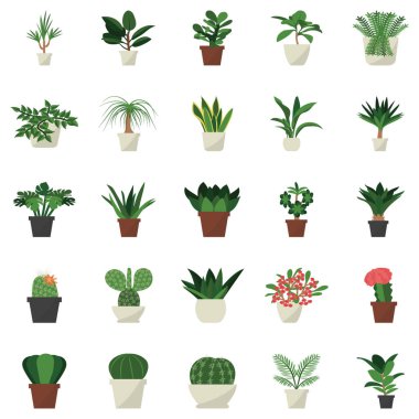 Indoor potted plants flat icons designs pack is here to make your project more eye soothing. Editable icons are more attractive and easy to use. Enjoy downloading!  clipart