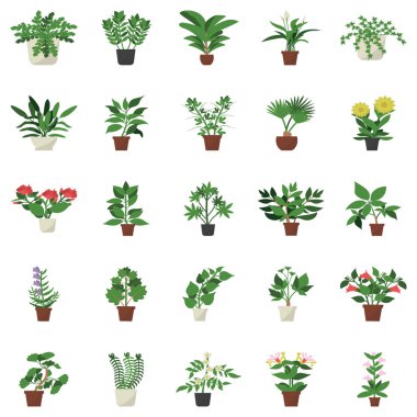 Evergreen houseplants düz simgeler tasarımları paketi projenizi daha göz yatıştırıcı yapmak için burada. Kullanılabilir simgeler daha çekici ve kullanımı kolaydır. İndirmekeyfini çıkarın! 
