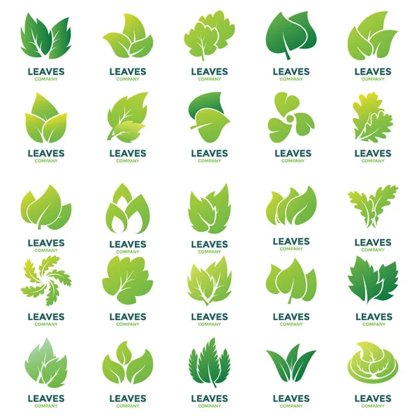 Пакет Логотипов Leaves Сделать Ваш Проект Успокаивающим Глаз Редактируемые Логотипы — стоковый вектор