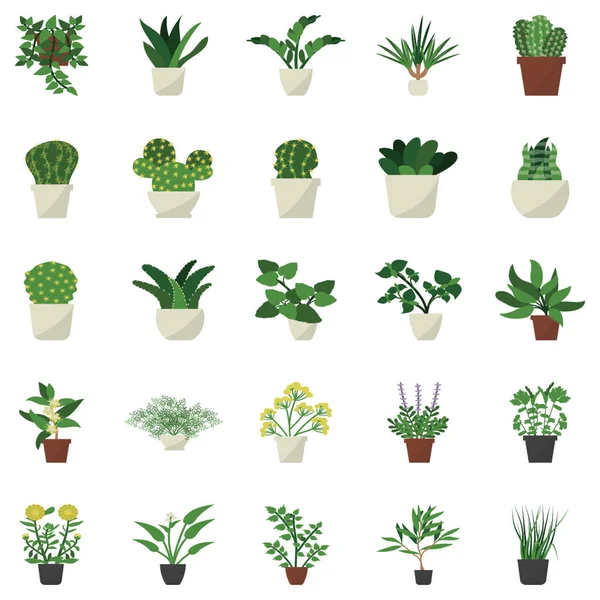 House Plant Wystrój Płaskie Ikony Wzorów Pack Jest Tutaj Aby — Wektor stockowy