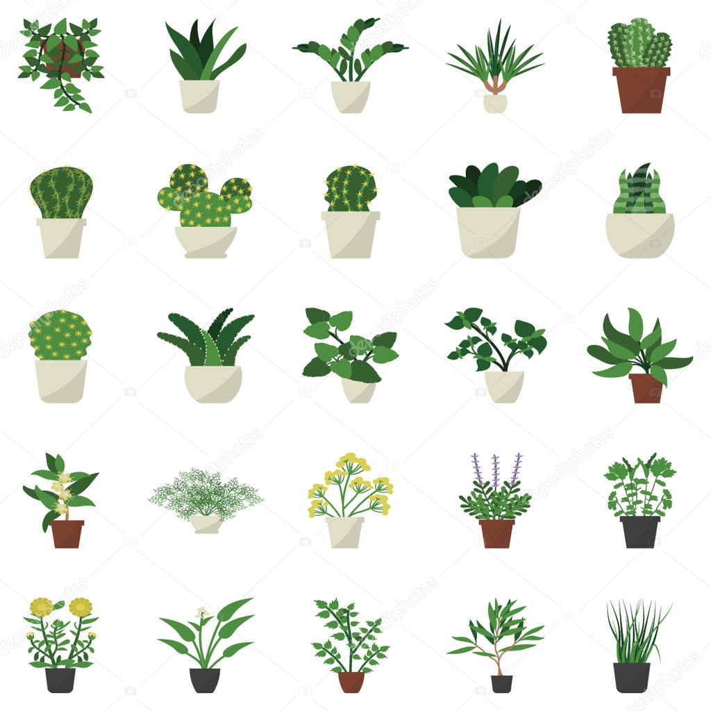 House Plant decor flat icons designs pack is here to make your project more eye soothing. Editable icons are more attractive and easy to use. Enjoy downloading! 