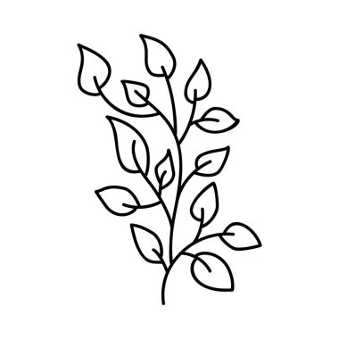 Dekoratif elemanlar vektör el çizimi tasarımı 