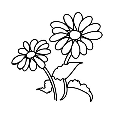 Çizim tasarımında ayçiçeği vektör elemanı 