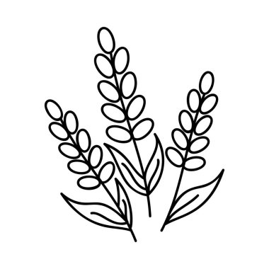 Dekoratif elemanlar vektör el çizimi tasarımı 