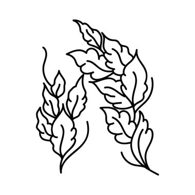 Elle çizilmiş tasarımda doğal bitki vektörü 