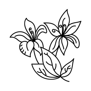 Çizim tasarımında gül bitkisi vektörü 