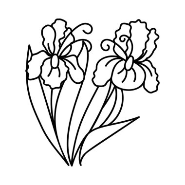 Çiçek tasarım elemanı vektör tasarımı 