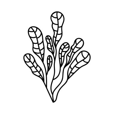 Elle çizilmiş tasarımda doğal bitki vektörü 