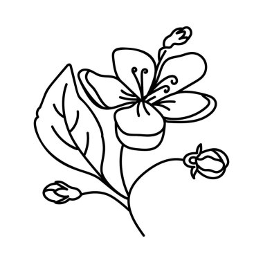 Elle çizilmiş tasarımda doğal bitki vektörü 
