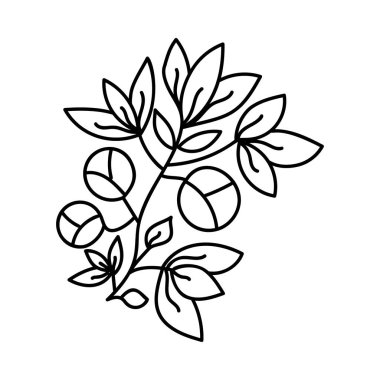 Elle çizilmiş tasarımda doğal bitki vektörü 