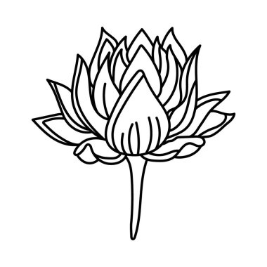 Çizim tasarımında çiçek sanat vektörü 